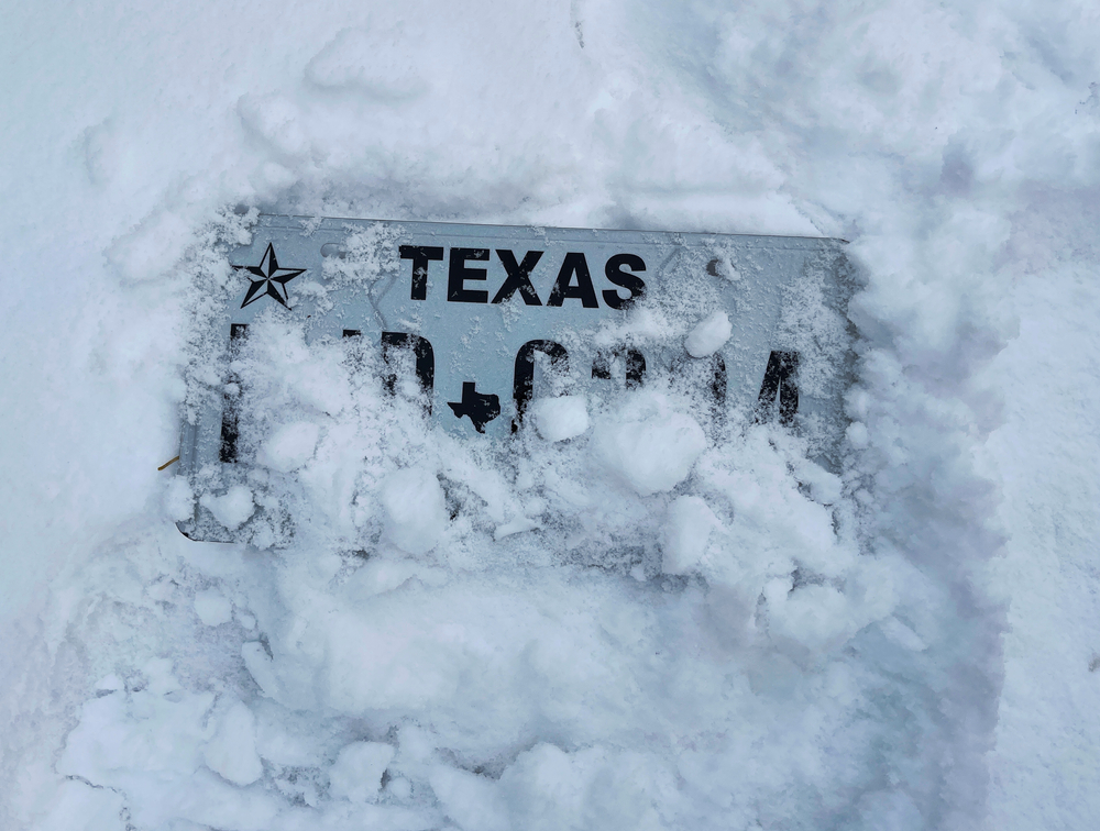 Contribution to Texas Relief
