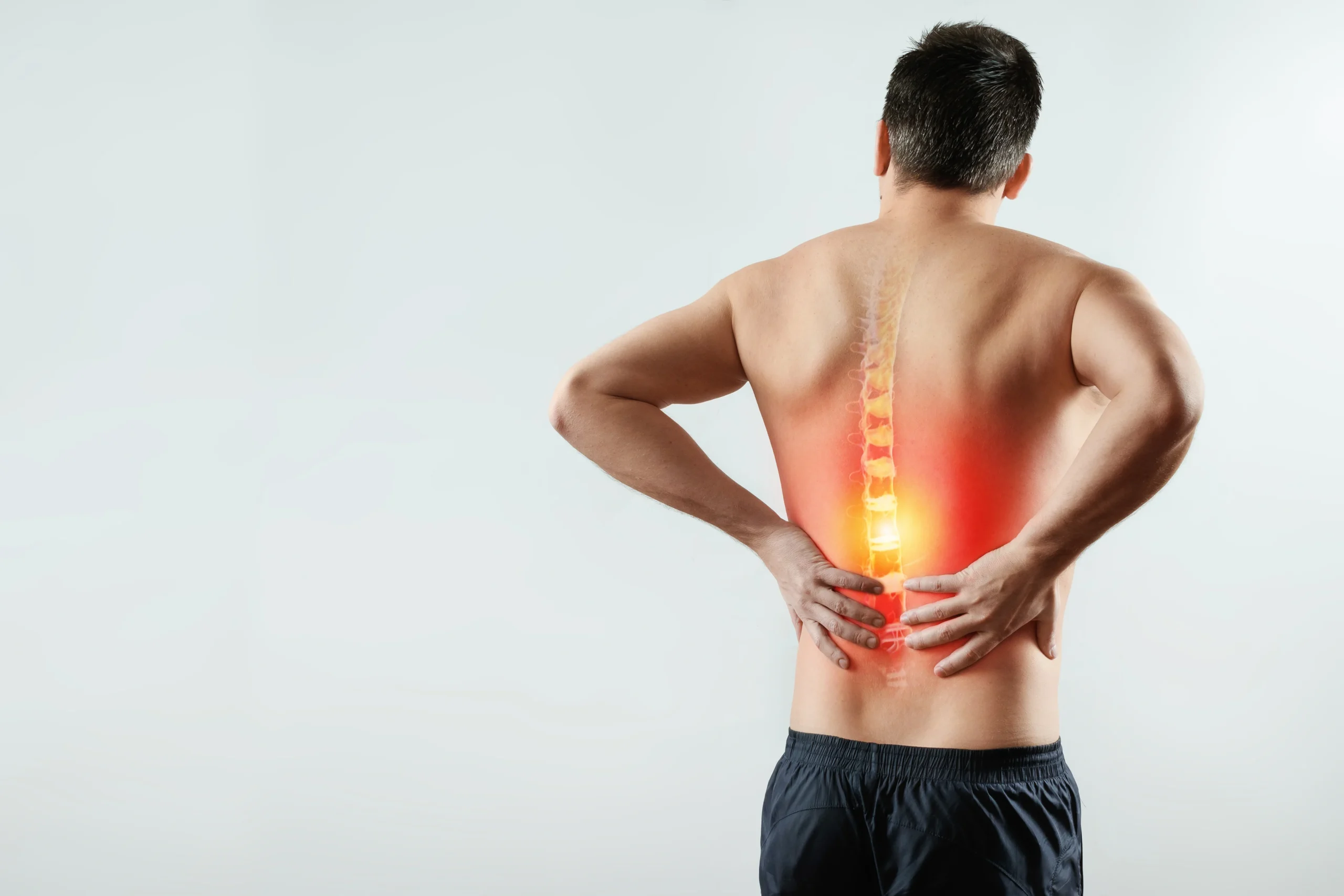 Spine and lower back pain